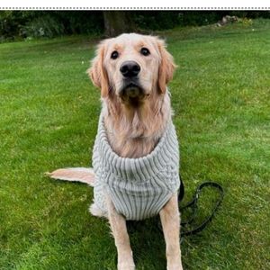 Boots & Barkley 🆕  Turtleneck Sweater